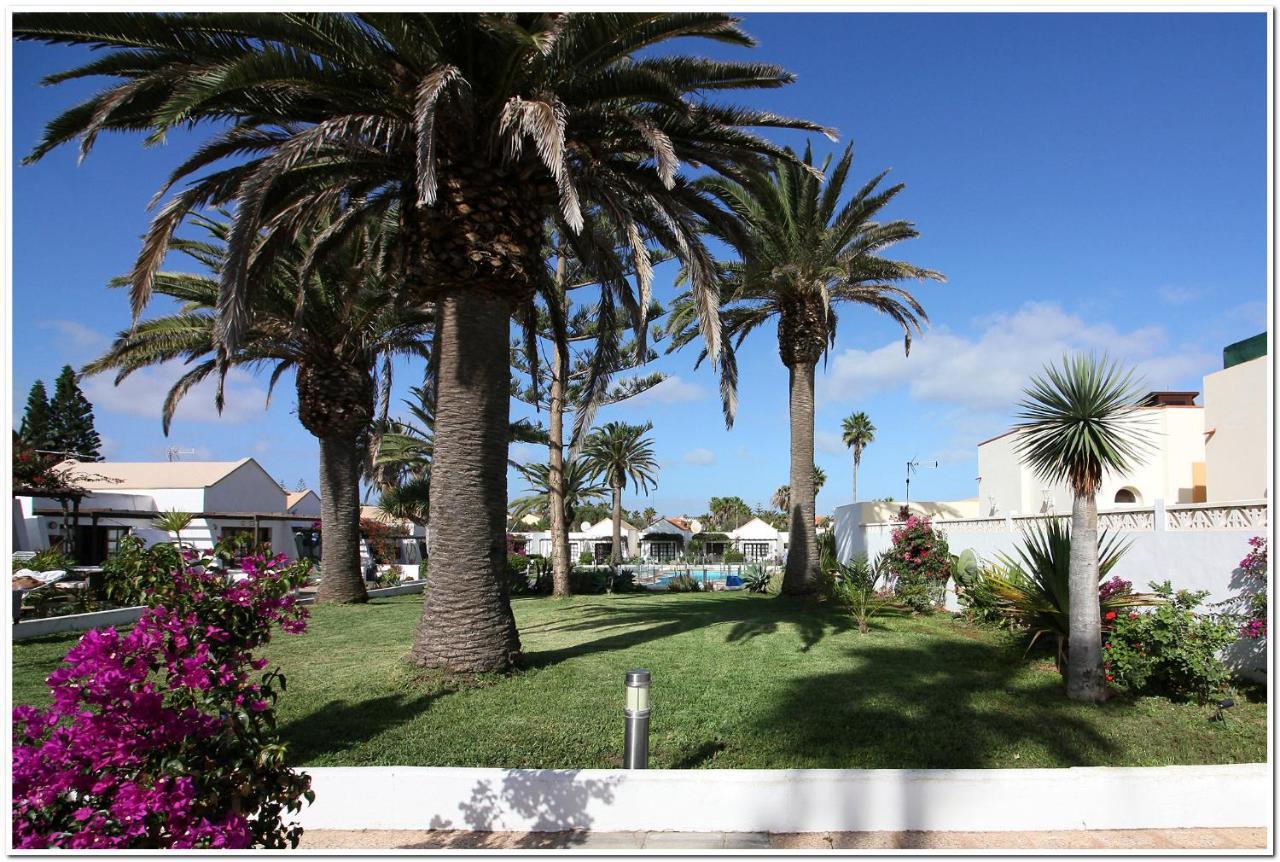 Estrella Del Mar 8. 1 Bedroom Villa With Pool And Gardens 300 Metres From The Beach コラレホ エクステリア 写真